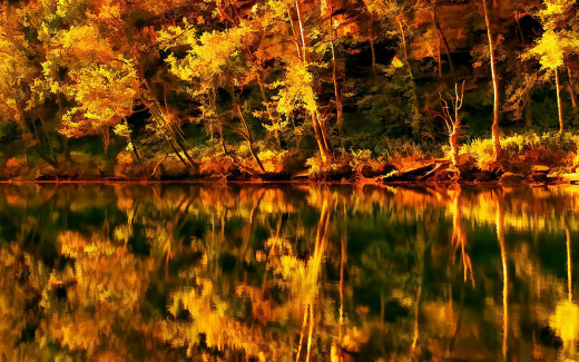 503929 (a): :2560x1600